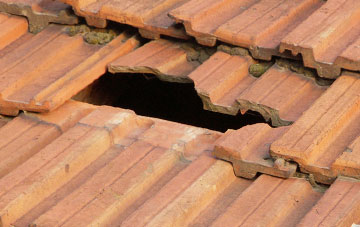 roof repair Old Eldon, County Durham